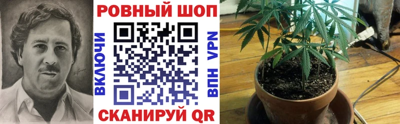 Наркошоп купить Бошки Шишки Псилоцибиновые грибы Мефедрон Alpha-PVP Кинель