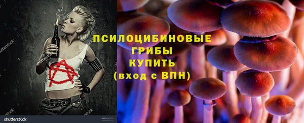 кокс Вяземский