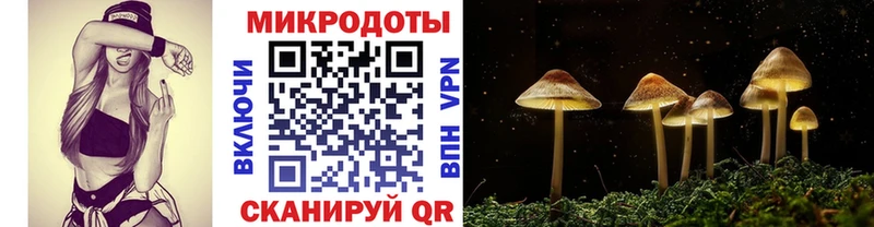 Галлюциногенные грибы Psilocybine cubensis  Купить закладки  Кинель 